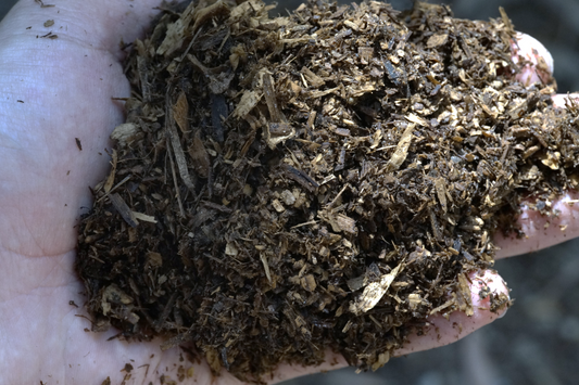 Flower beetle substrate