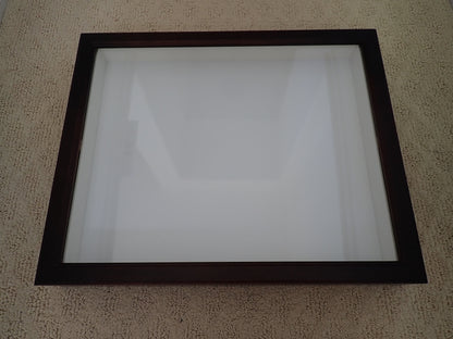 Insect specimen box