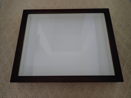 Insect specimen box