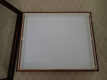 Insect specimen box