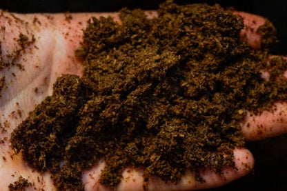 Stag beetle flake soil