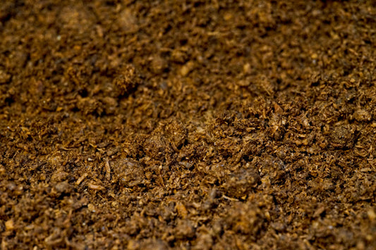 Stag beetle flake soil