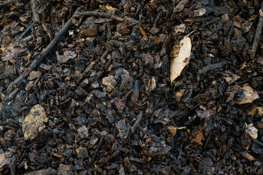 Natural oak leaves substrate